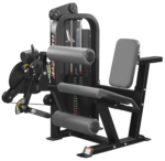 Seated Leg Curl/ Extension Combo